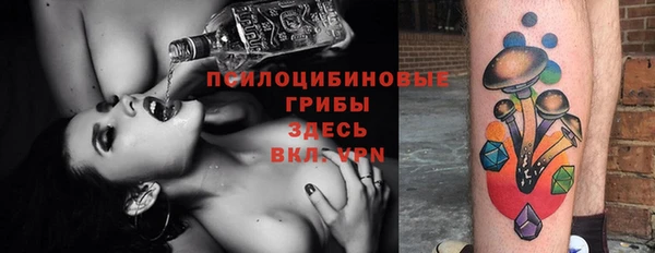 мяу мяу мука Пролетарск