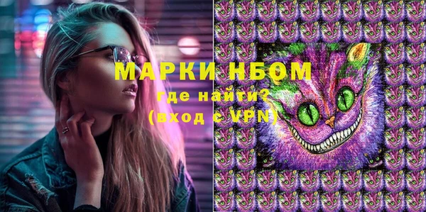 дживик Белокуриха