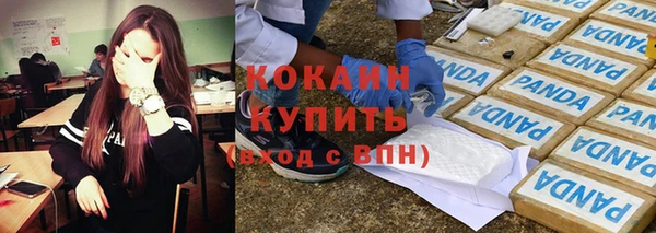 дживик Белокуриха