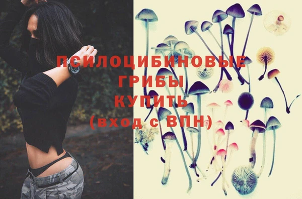 дживик Белокуриха