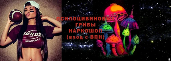 дживик Белокуриха