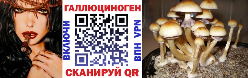 Галлюциногенные грибы MAGIC MUSHROOMS  купить  цена  Куса 